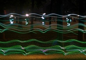 Ein mit Licht geschmückter Wald (Bild: Hasan Koc)
